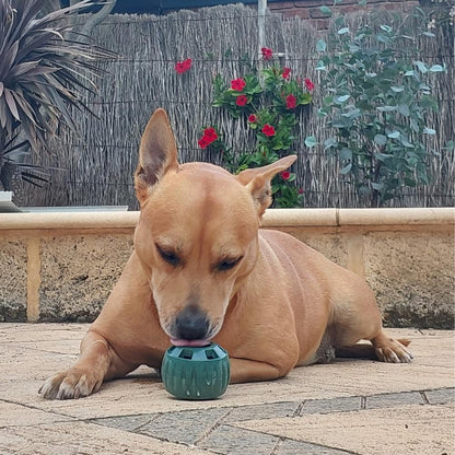 🐾 The Aussie PUPSICLE — Australia’s #1 Dog Enrichment Solution!
