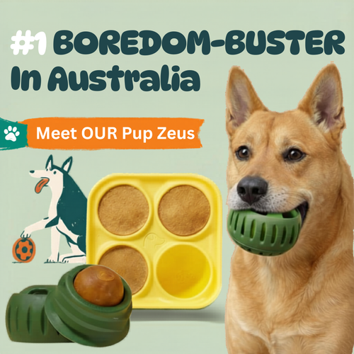 🐾 The Aussie PUPSICLE — Australia’s #1 Dog Enrichment Solution!