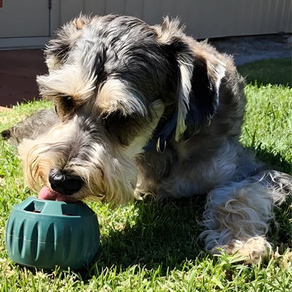 🐾 The Aussie PUPSICLE — Australia’s #1 Dog Enrichment Solution!